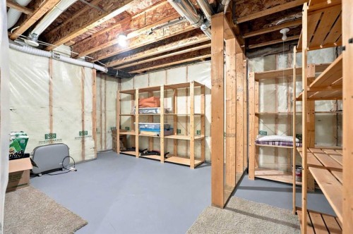 163 Cranarch Circle Se, Calgary, AB - Indoor Photo Showing Basement