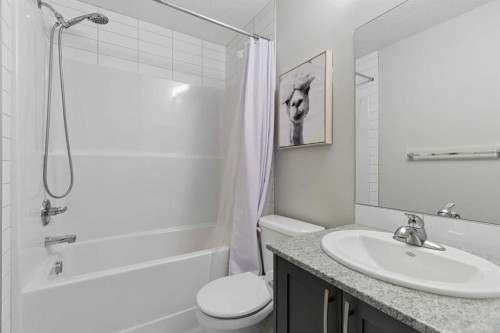 12 Wolf Creek Drive Se, Calgary, AB - Indoor Photo Showing Bathroom