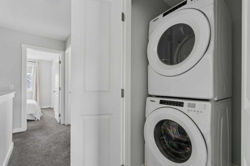 12 Wolf Creek Drive Se, Calgary, AB - Indoor Photo Showing Laundry Room