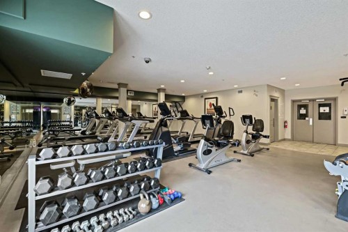 537-10 Discovery Ridge Close Sw, Calgary, AB - Indoor Photo Showing Gym Room