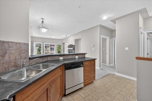 537-10 Discovery Ridge Close Sw, Calgary, AB - Indoor Photo Showing Kitchen With Double Sink