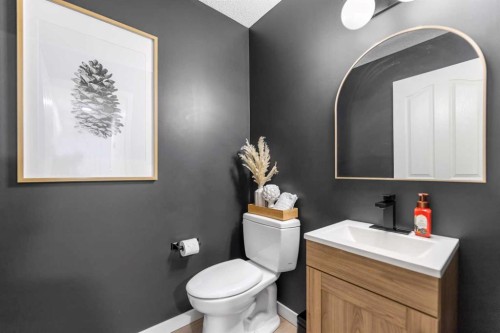 19 Everridge Villas Sw, Calgary, AB - Indoor Photo Showing Bathroom