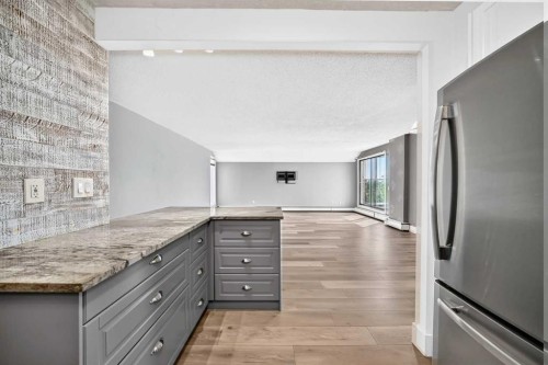 507-1900 25A Street Sw, Calgary, AB - Indoor Photo Showing Kitchen