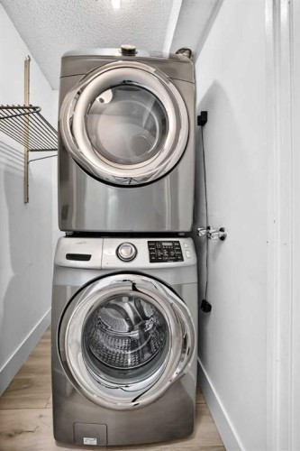 507-1900 25A Street Sw, Calgary, AB - Indoor Photo Showing Laundry Room