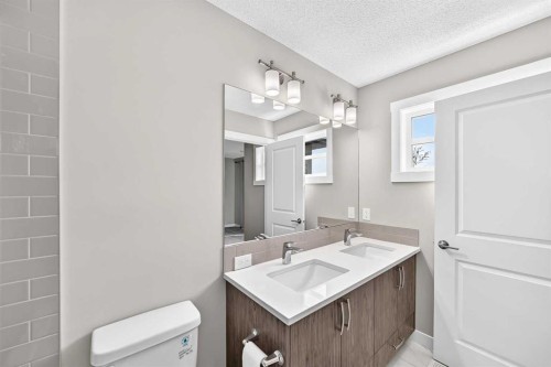 75 Howse Crescent Ne, Calgary, AB - Indoor Photo Showing Bathroom