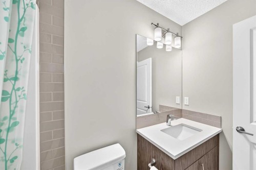 75 Howse Crescent Ne, Calgary, AB - Indoor Photo Showing Bathroom