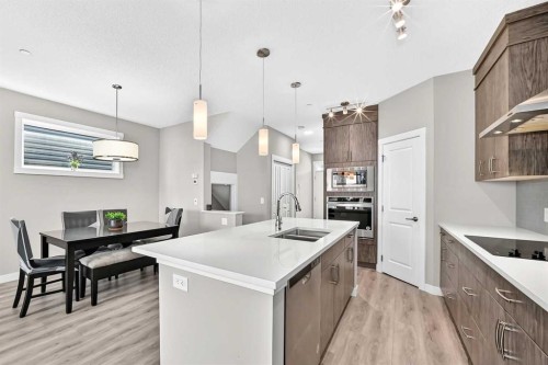 75 Howse Crescent Ne, Calgary, AB - Indoor Photo Showing Kitchen With Double Sink With Upgraded Kitchen