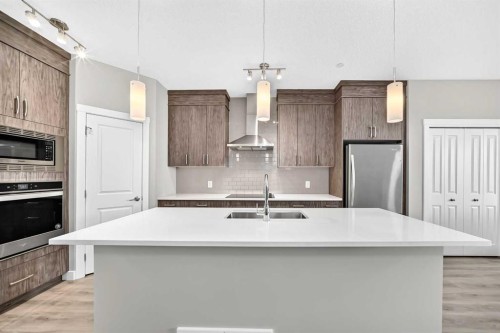 75 Howse Crescent Ne, Calgary, AB - Indoor Photo Showing Kitchen With Stainless Steel Kitchen With Double Sink With Upgraded Kitchen