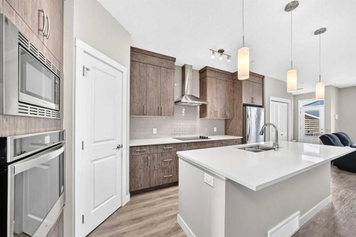 75 Howse Crescent Ne, Calgary, AB - Indoor Photo Showing Kitchen With Stainless Steel Kitchen With Upgraded Kitchen