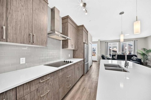 75 Howse Crescent Ne, Calgary, AB - Indoor Photo Showing Kitchen With Double Sink With Upgraded Kitchen