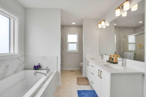 101 Wolf Hollow Terrace Se, Calgary, AB - Indoor Photo Showing Bathroom