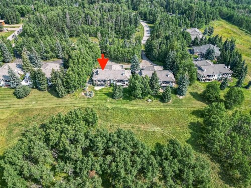 34 Sunrise Way, Priddis Greens, AB - Outdoor