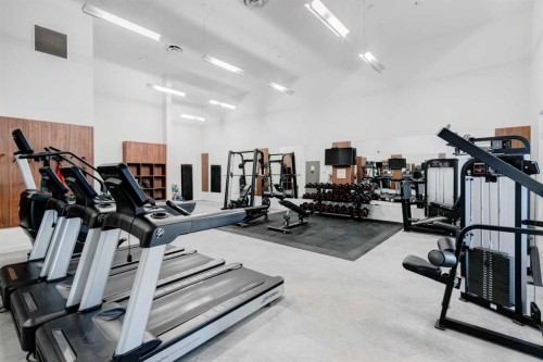 422-88 9 Street Ne, Calgary, AB - Indoor Photo Showing Gym Room