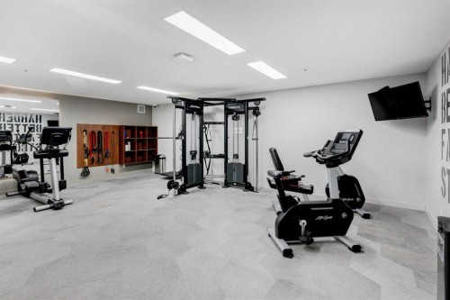 422-88 9 Street Ne, Calgary, AB - Indoor Photo Showing Gym Room