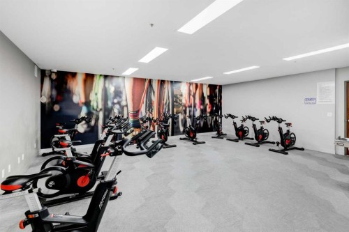 422-88 9 Street Ne, Calgary, AB - Indoor Photo Showing Gym Room