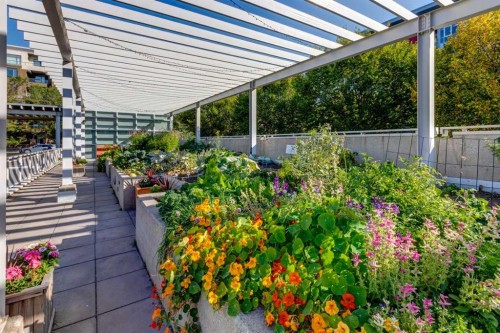 422-88 9 Street Ne, Calgary, AB - Outdoor With Deck Patio Veranda