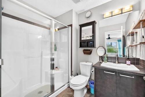 1915 Copperfield Boulevard Se, Calgary, AB - Indoor Photo Showing Bathroom