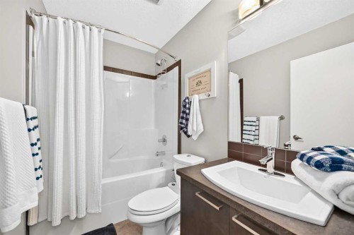 1915 Copperfield Boulevard Se, Calgary, AB - Indoor Photo Showing Bathroom