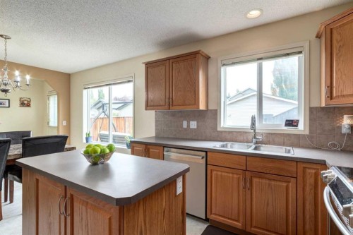 880 Prestwick Circle Se, Calgary, AB - Indoor Photo Showing Kitchen With Double Sink