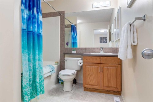 880 Prestwick Circle Se, Calgary, AB - Indoor Photo Showing Bathroom