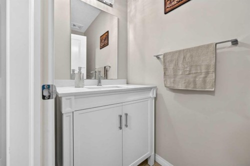 232 Walden Heights Se, Calgary, AB - Indoor Photo Showing Bathroom