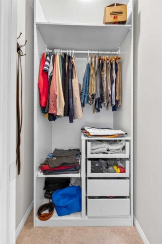 232 Walden Heights Se, Calgary, AB - Indoor With Storage