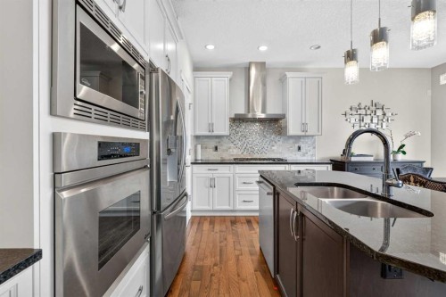 232 Walden Heights Se, Calgary, AB - Indoor Photo Showing Kitchen With Double Sink With Upgraded Kitchen
