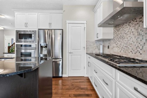 232 Walden Heights Se, Calgary, AB - Indoor Photo Showing Kitchen With Upgraded Kitchen