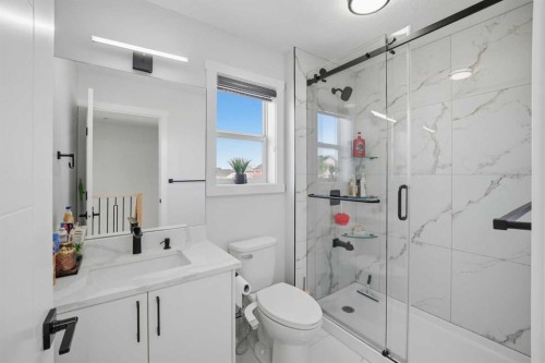 7916 Martha'S Haven Park Ne, Calgary, AB - Indoor Photo Showing Bathroom