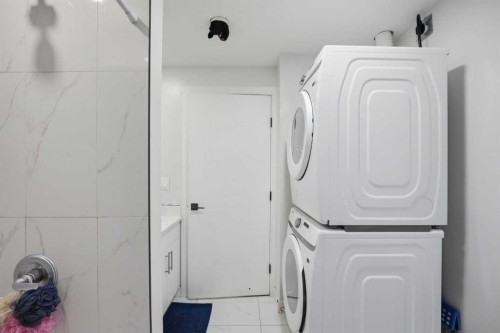 7916 Martha'S Haven Park Ne, Calgary, AB - Indoor Photo Showing Laundry Room