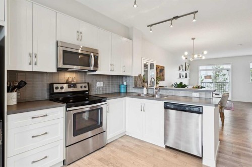 206 Nolanfield Villas Nw, Calgary, AB - Indoor Photo Showing Kitchen With Stainless Steel Kitchen With Double Sink With Upgraded Kitchen