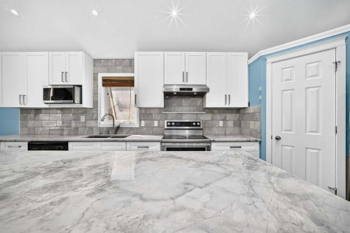 87 Tarawood Grove Ne, Calgary, AB - Indoor Photo Showing Kitchen With Double Sink With Upgraded Kitchen