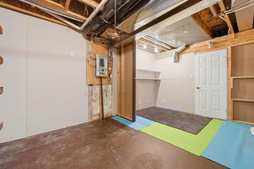 42 Prestwick Pond Terrace Se, Calgary, AB - Indoor Photo Showing Basement