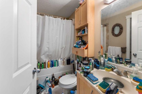 3113-24 Hemlock Crescent Sw, Calgary, AB - Indoor Photo Showing Bathroom