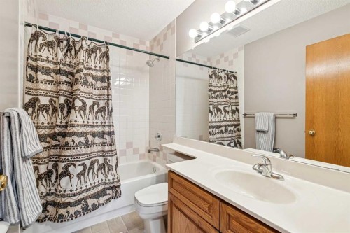 124 Schubert Hill Nw, Calgary, AB - Indoor Photo Showing Bathroom