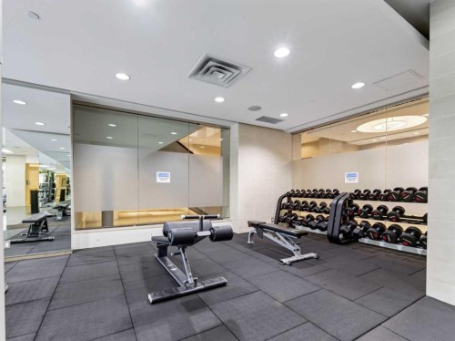 511-222 Riverfront Avenue Sw, Calgary, AB - Indoor Photo Showing Gym Room