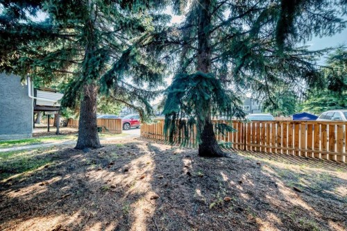 D-109 Stanley Avenue, Okotoks, AB - Outdoor