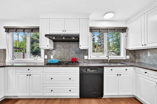 1220 73 Avenue Sw, Calgary, AB - Indoor Photo Showing Kitchen With Double Sink
