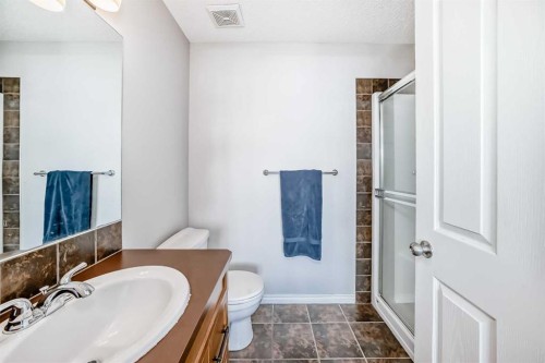 296 Sunset Point, Cochrane, AB - Indoor Photo Showing Bathroom