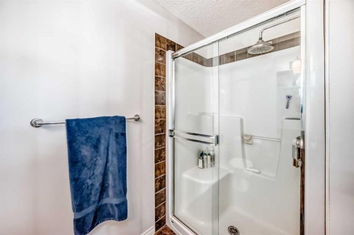 296 Sunset Point, Cochrane, AB - Indoor Photo Showing Bathroom
