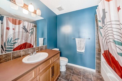 296 Sunset Point, Cochrane, AB - Indoor Photo Showing Bathroom