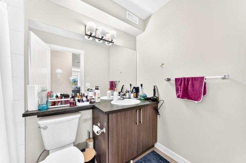 196-300 Marina Drive, Chestermere, AB - Indoor Photo Showing Bathroom