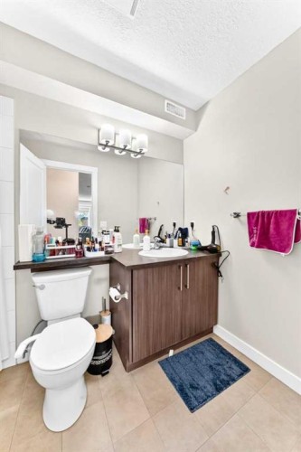 196-300 Marina Drive, Chestermere, AB - Indoor Photo Showing Bathroom