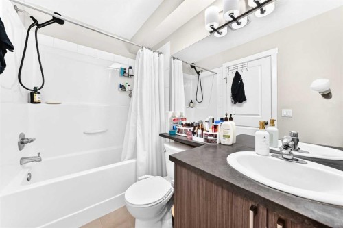 196-300 Marina Drive, Chestermere, AB - Indoor Photo Showing Bathroom