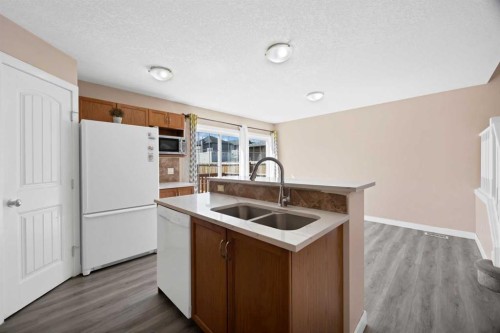 65 Taralake Terrace Ne, Calgary, AB - Indoor Photo Showing Kitchen With Double Sink