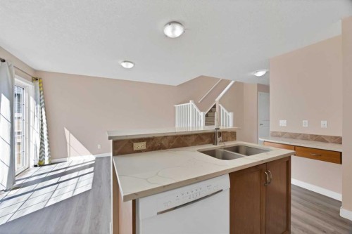 65 Taralake Terrace Ne, Calgary, AB - Indoor Photo Showing Kitchen With Double Sink