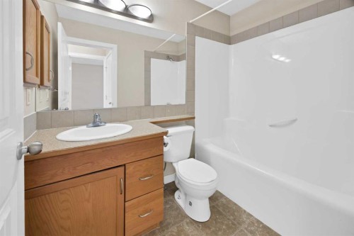 65 Taralake Terrace Ne, Calgary, AB - Indoor Photo Showing Bathroom