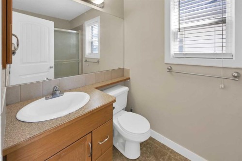 65 Taralake Terrace Ne, Calgary, AB - Indoor Photo Showing Bathroom