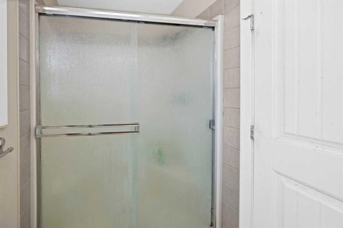 65 Taralake Terrace Ne, Calgary, AB - Indoor Photo Showing Bathroom