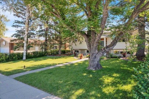 228 Nottingham Road Nw, Calgary, AB - Outdoor